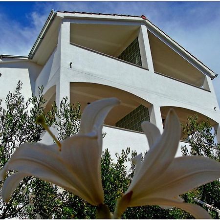 Apartments Purkovic Vodice Dış mekan fotoğraf