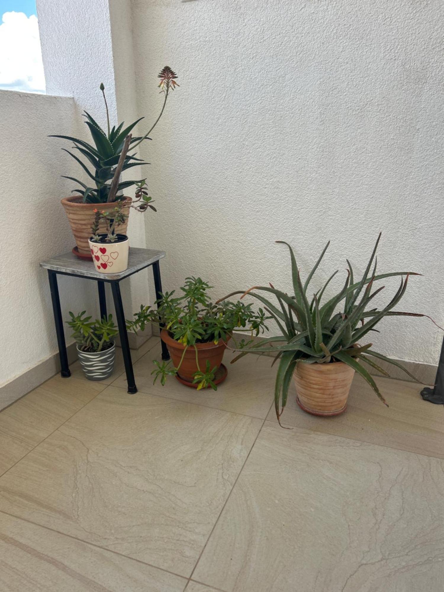 Apartments Purkovic Vodice Dış mekan fotoğraf