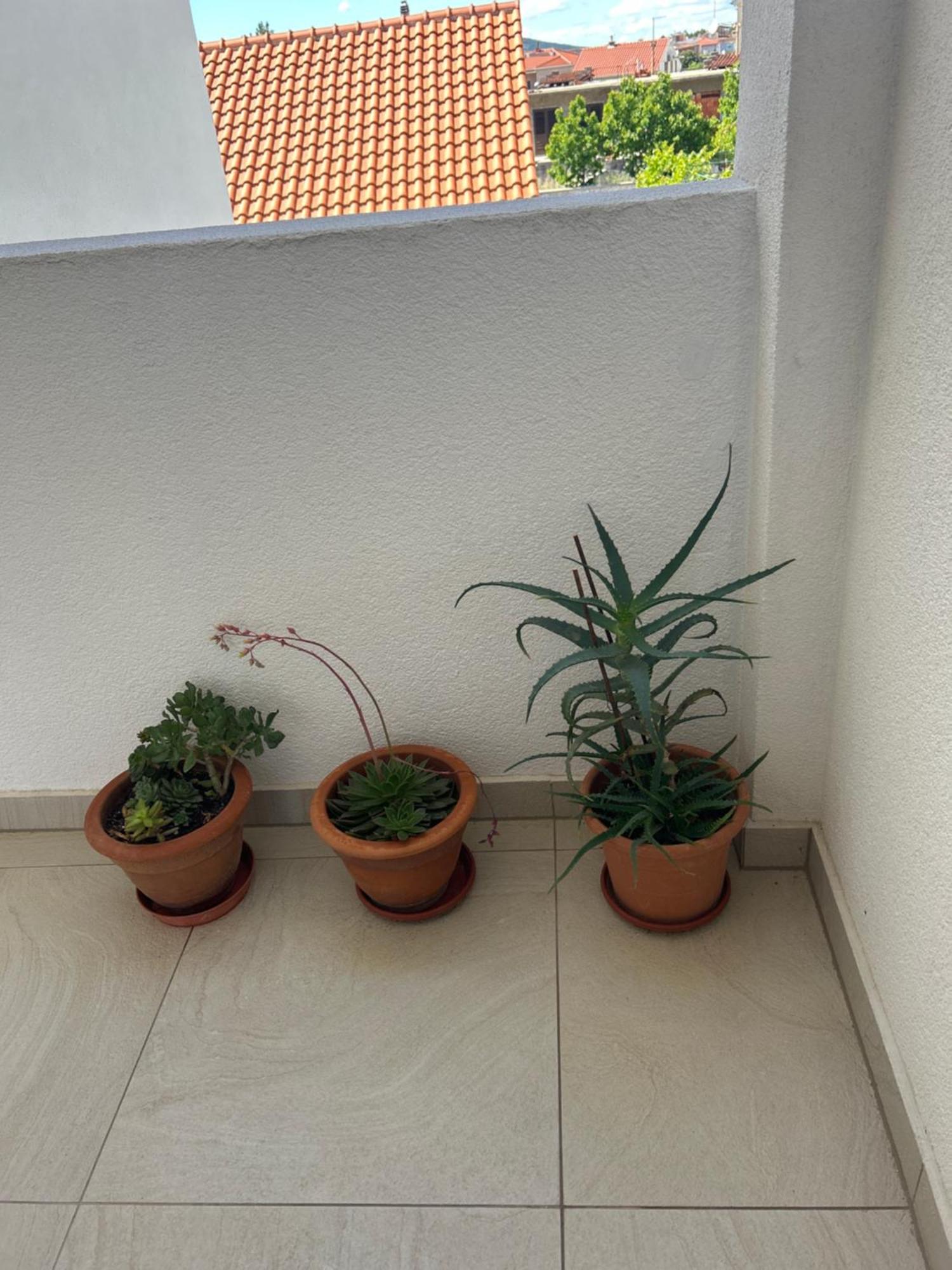 Apartments Purkovic Vodice Dış mekan fotoğraf